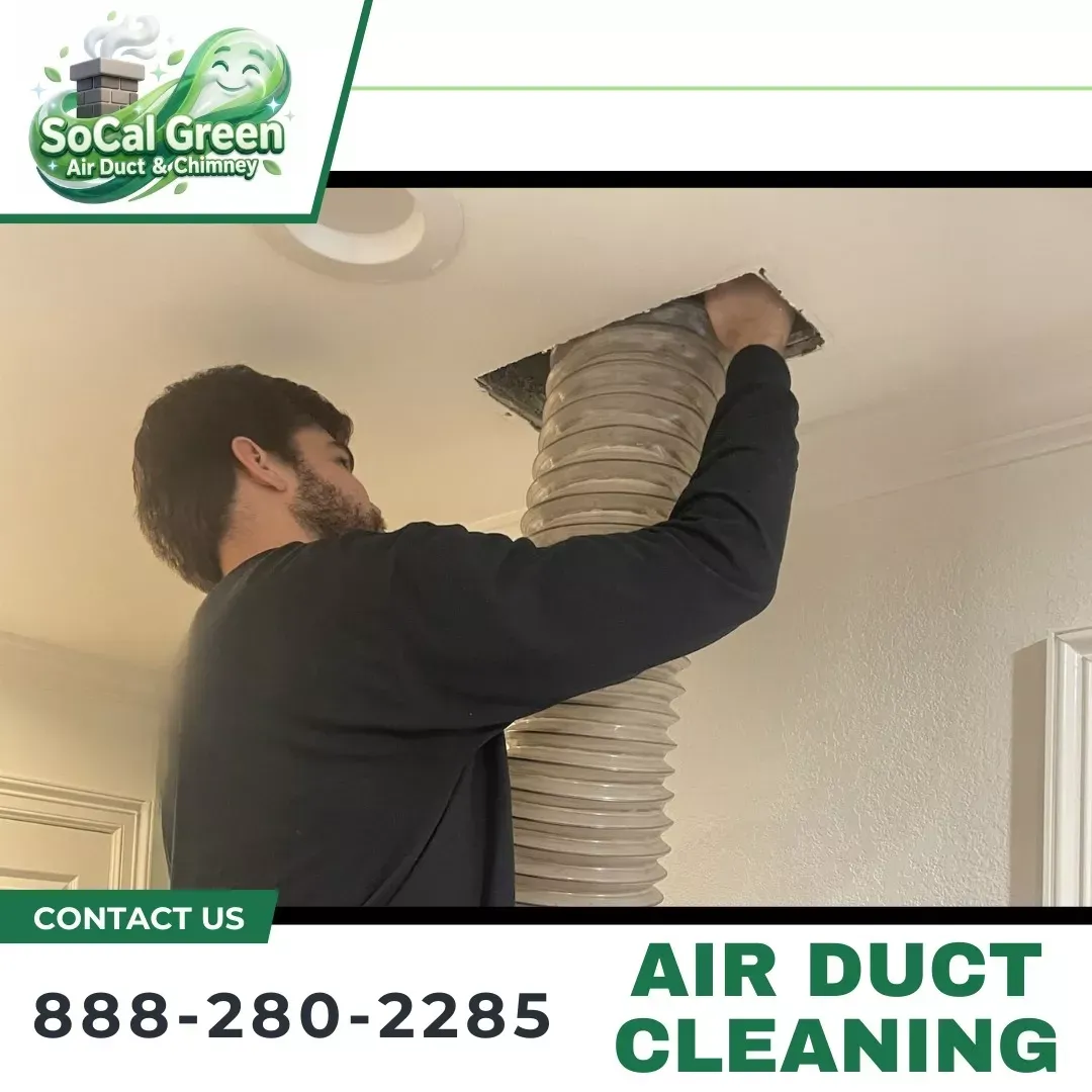 Certified mold remediation technician performing HEPA extraction