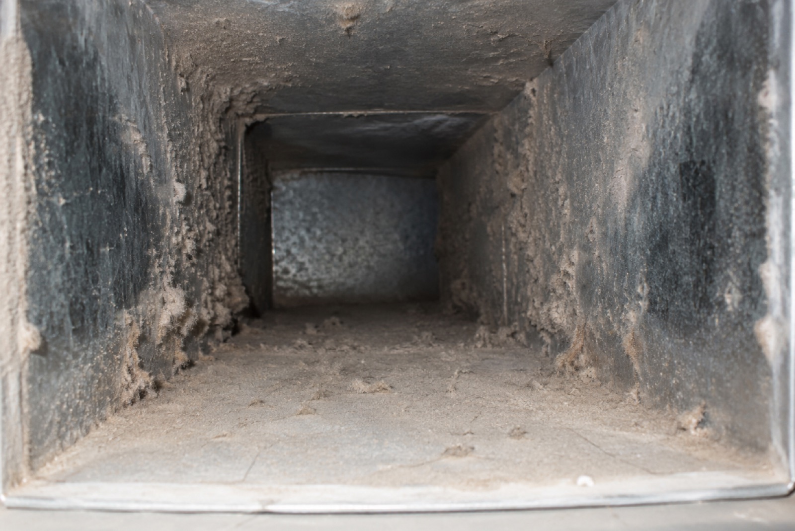 Dust and pet dander buildup inside residential HVAC ductwork